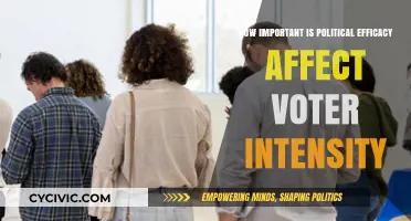 Empowering Democracy: The Impact of Political Efficacy on Voter Engagement