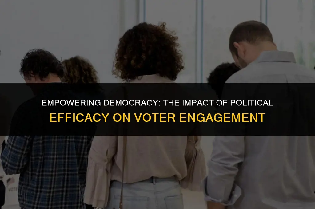 how important is political efficacy affect voter intensity