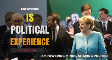 The Value of Political Experience: Shaping Effective Leadership