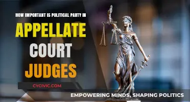 Political Party Influence on Appellate Court Judges: A Critical Analysis