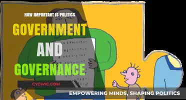 The Crucial Role of Politics, Government, and Governance in Society
