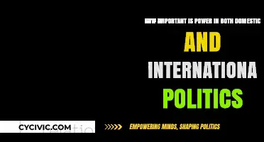 The Crucial Role of Power in Shaping Domestic and International Politics
