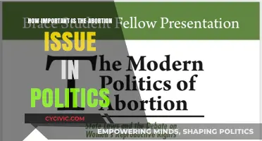 The Abortion Issue: A Critical Intersection in Modern Politics