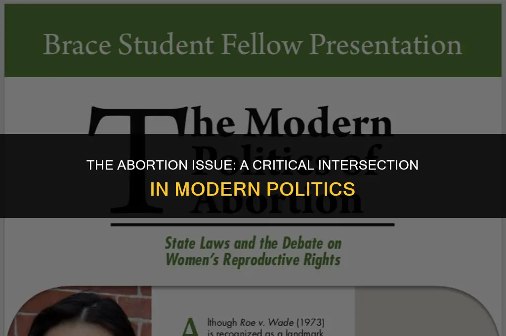 how important is the abortion issue in politics