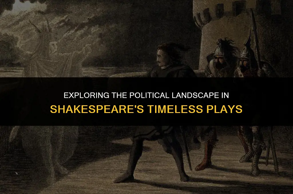 how important was politics in the plays of william shakespeare