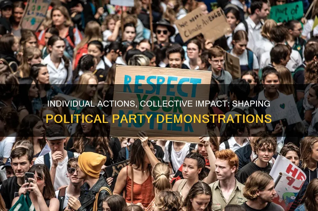 how individuals affect political parties demonstrations