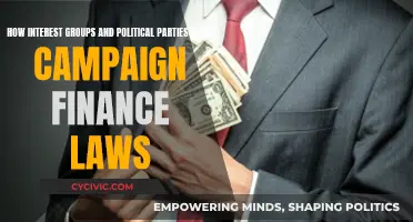 Interest Groups, Political Parties: Skirting Campaign Finance Laws