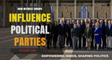 Interest Groups' Power: Shaping Political Parties' Agendas and Policies