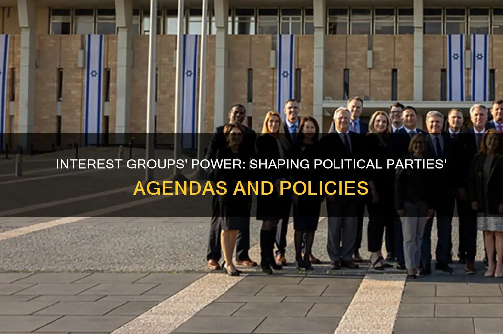 how interest groups influence political parties