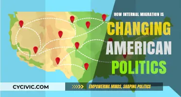Shifting Landscapes: Internal Migration's Impact on American Politics