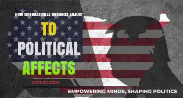 Navigating Global Politics: Strategies for International Business Adaptation