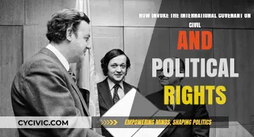 Upholding Human Rights: A Guide to Invoking the International Covenant