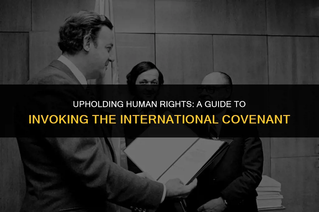 how invoke the international covenant on civil and political rights