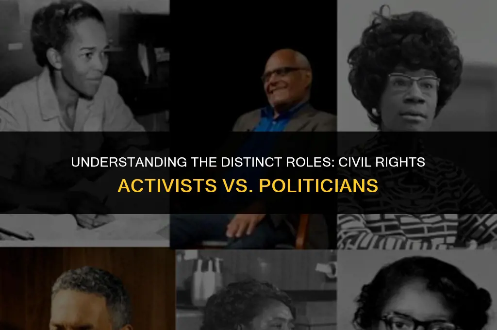 how is a civil rights activist different from a politic