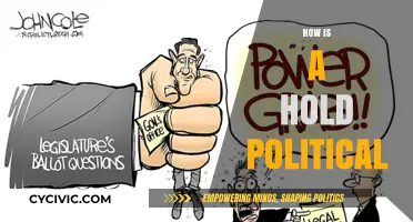 The Political Power of a Hold: Strategies, Influence, and Impact