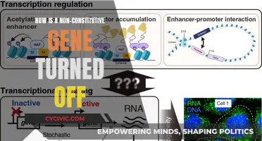 Gene Regulation: Non-Constitutive Genes and Their Control