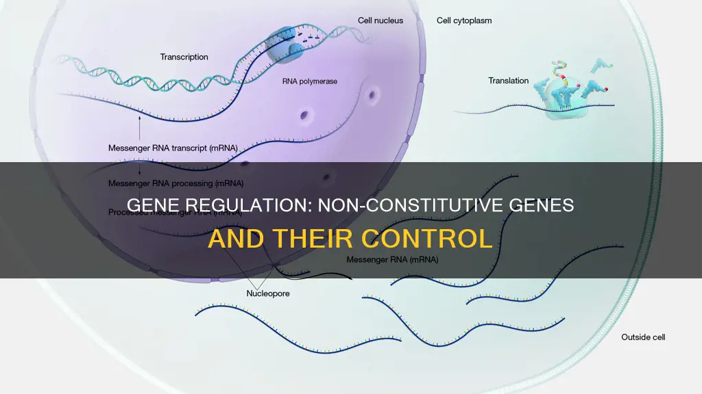 how is a non-constitutive gene turned off