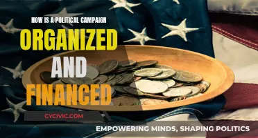 Organizing and Financing Political Campaigns: A Comprehensive Guide