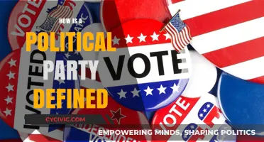 Understanding Political Parties: Core Definitions, Structures, and Functions Explained