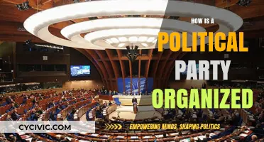 Understanding the Structure and Organization of a Political Party
