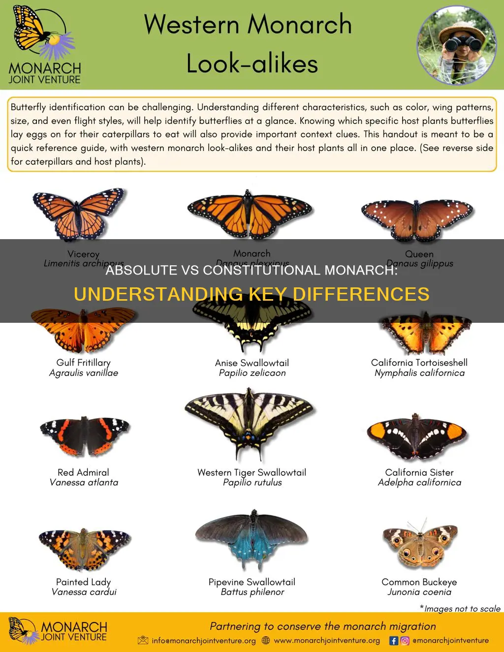 how is an absolute monarch different from a constitutional monarch