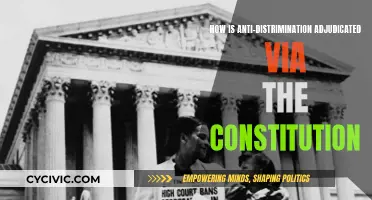 Constitution's Role in Anti-Discrimination: A Legal Overview