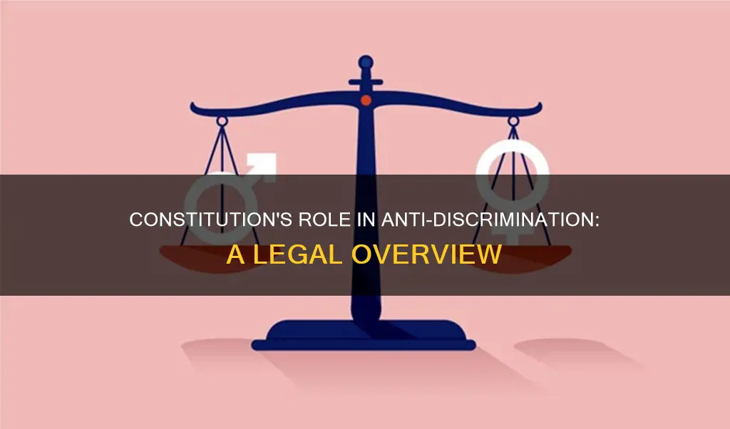 how is anti-distrimination adjudicated via the constitution