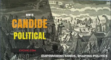Candide's Political Critique: Satire, Power, and Social Commentary Explored