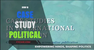 Unveiling the Political Dimensions of Case Studies in Research