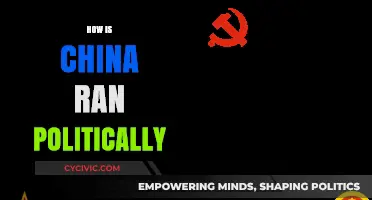 Understanding China's Political System: Leadership, Structure, and Governance Explained