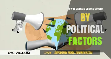 Unveiling the Political Roots of Climate Change: A Comprehensive Analysis