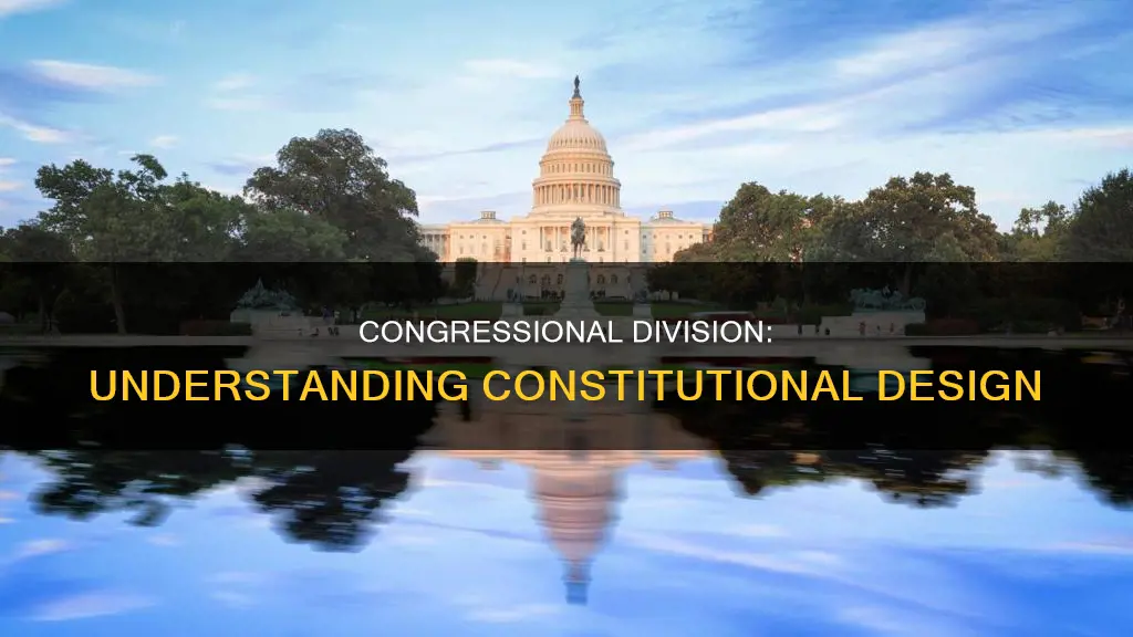 how is congress divided according to the constitution