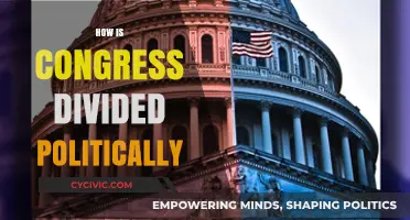 Understanding the Political Divide in Congress: Parties, Ideologies, and Power Dynamics