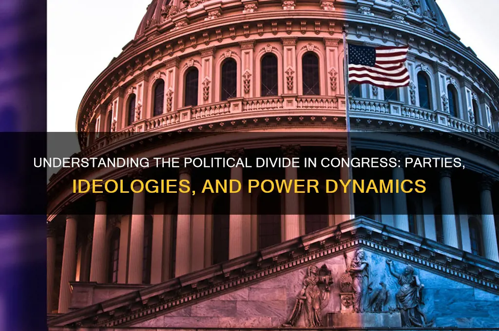 how is congress divided politically