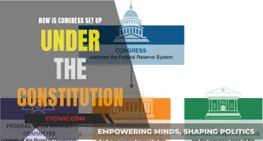 Congress: Constitutional Setup Explained