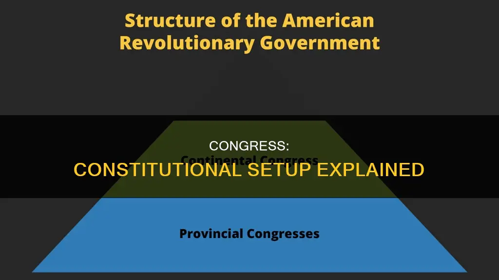 how is congress set up under the constitution