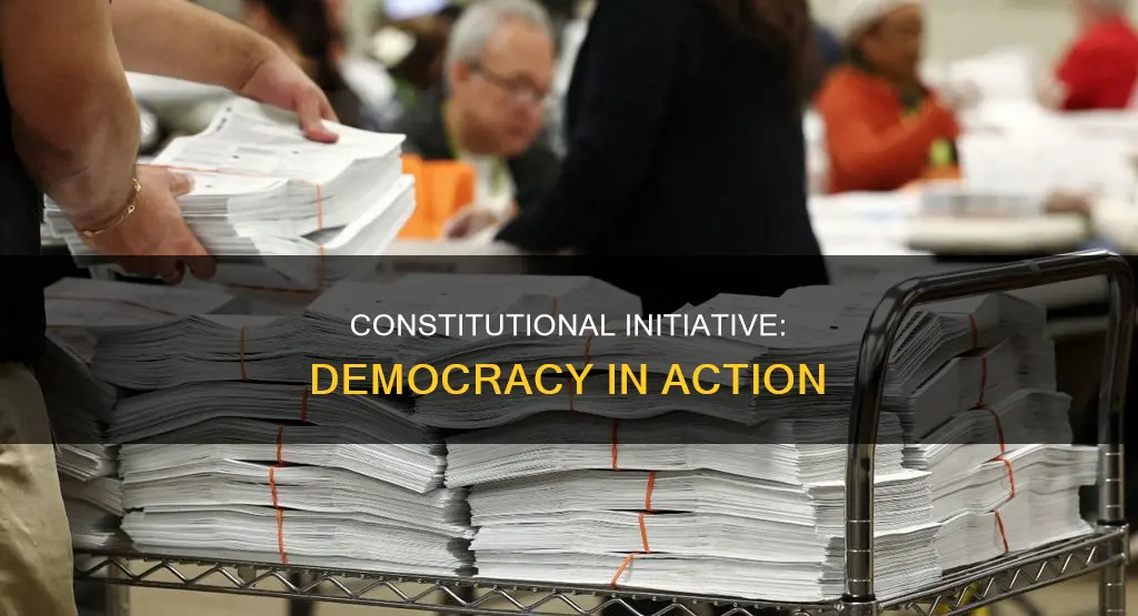 how is constitutional initiative an example of democracy at work