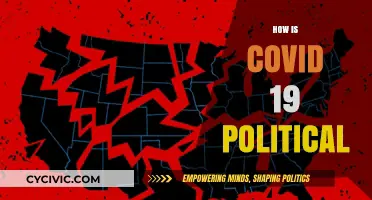 COVID-19's Political Divide: Global Impact, Polarization, and Power Struggles