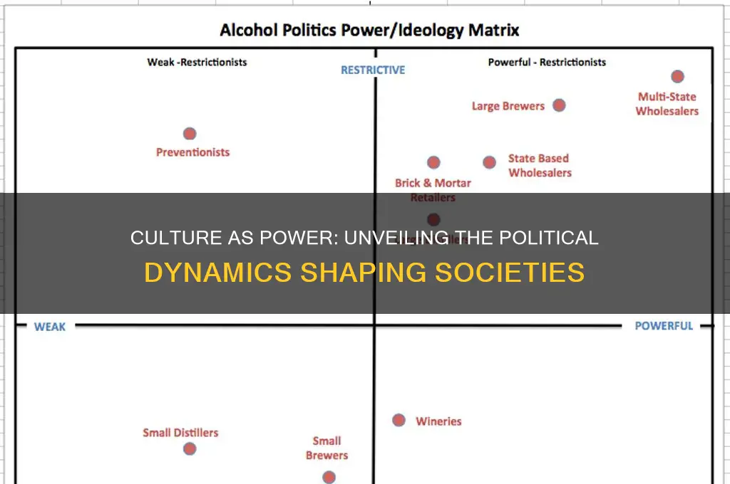 how is culture political