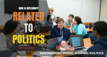 Diplomacy's Role in Politics: A Complex Relationship