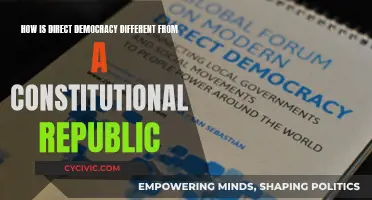 Direct Democracy vs Constitutional Republic: What's the Difference?