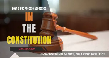 Due Process: Constitutional Rights and Protections