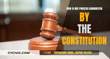 The Constitution: Due Process Safeguards