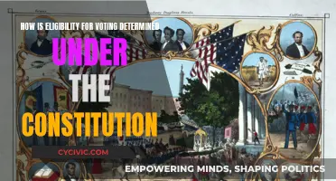 Who Can Vote? Eligibility Under the Constitution