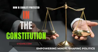 Equality Safeguards: The Constitution's Promise