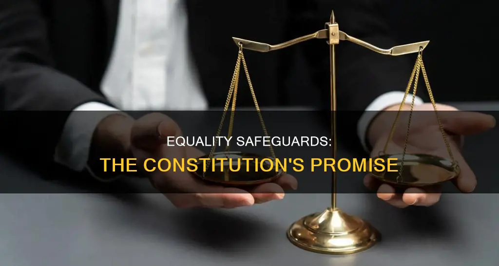 how is equality protected in the constitution
