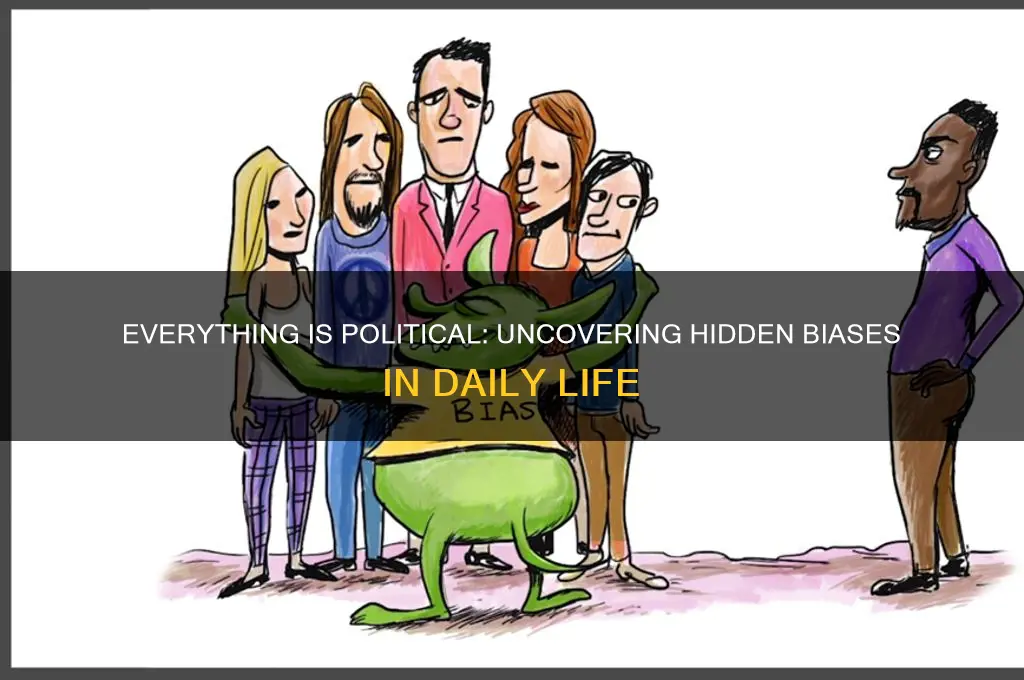 how is everything political