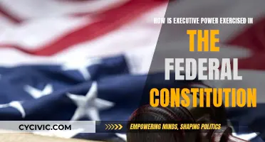 Executive Power in the Federal Constitution: Exploring Limits