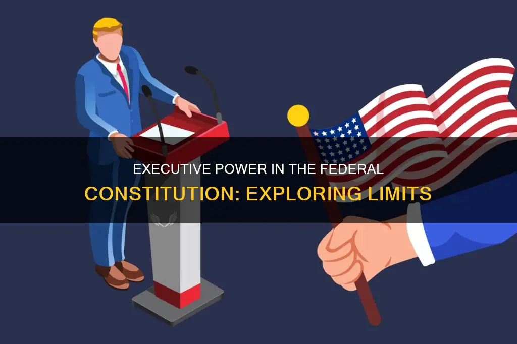how is executive power exercised in the federal constitution