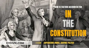 The Constitution's Faction: A Delicate Balance